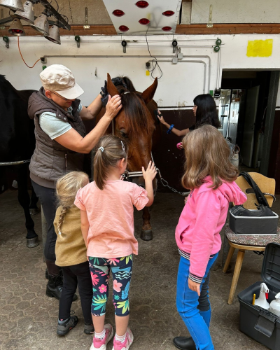 Bild der Reitanlage