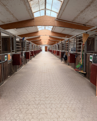 Bild der Reitanlage